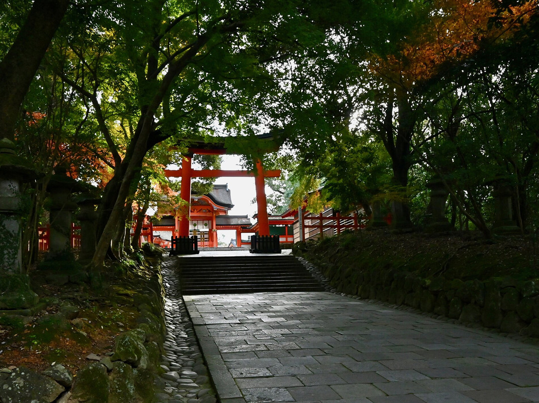 Usa Jingu Shrine Torii景点图片