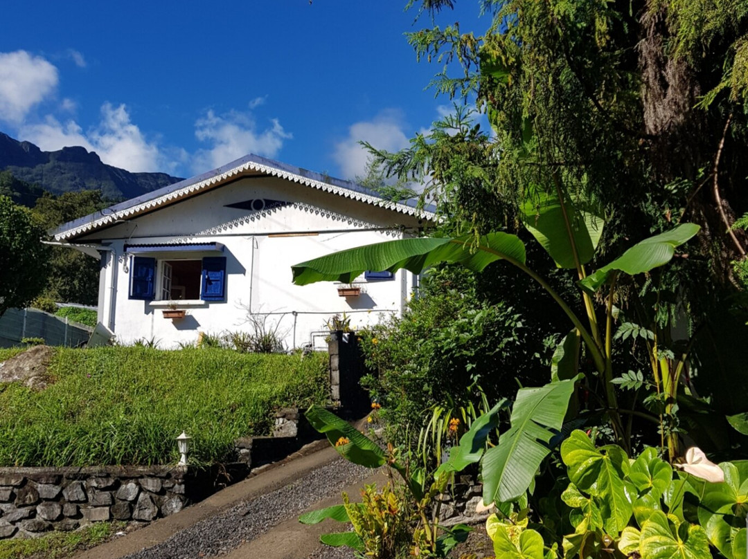 P'ti Blanc des O主图