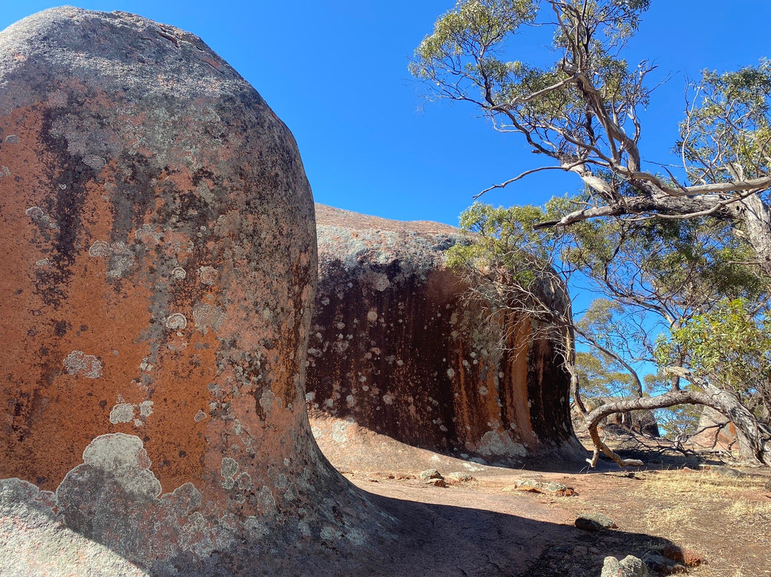 Murphy's Haystacks-Streaky Bay必去景点