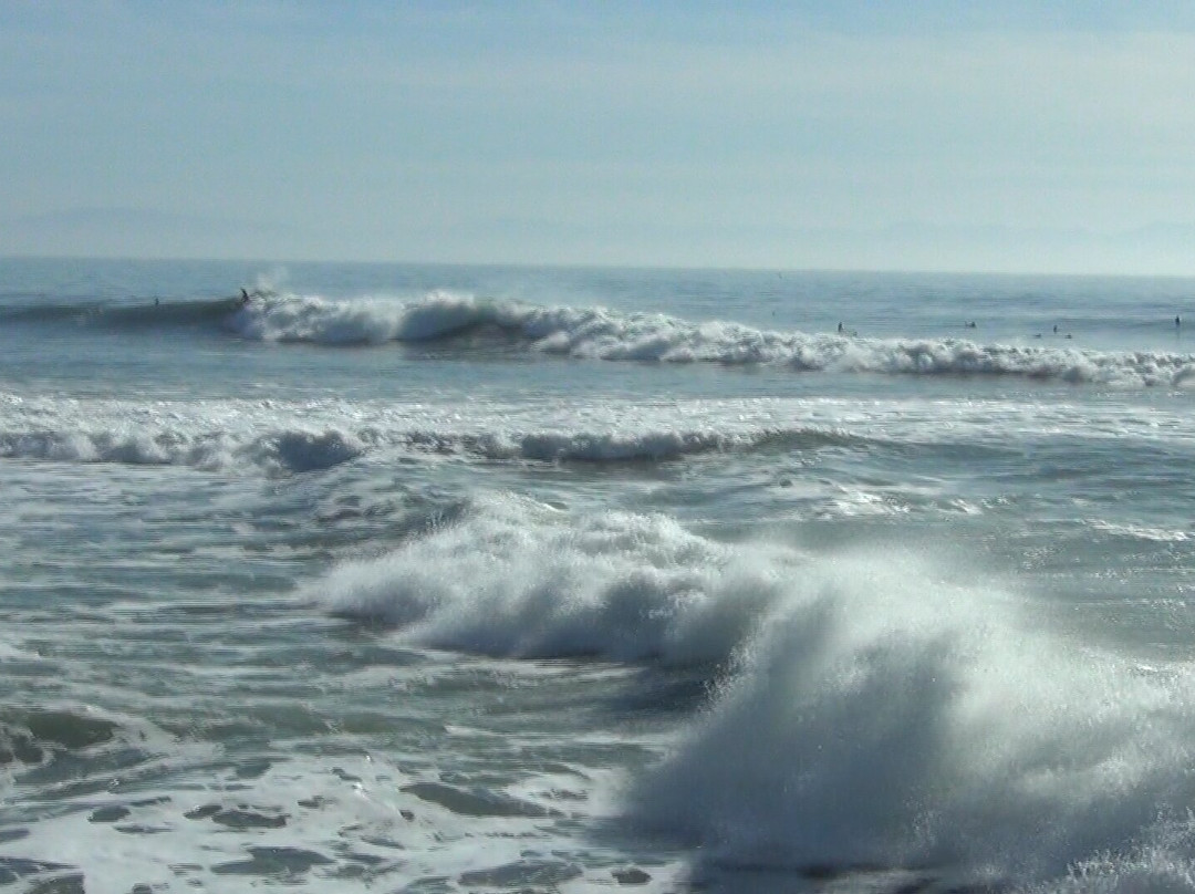 Pleasure Point Beach-圣克鲁斯必去景点