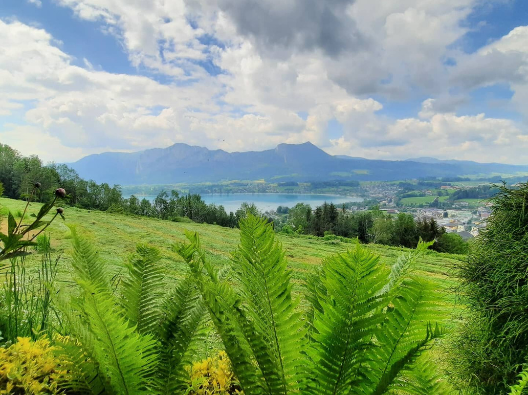 Tiefgraben旅游攻略图片