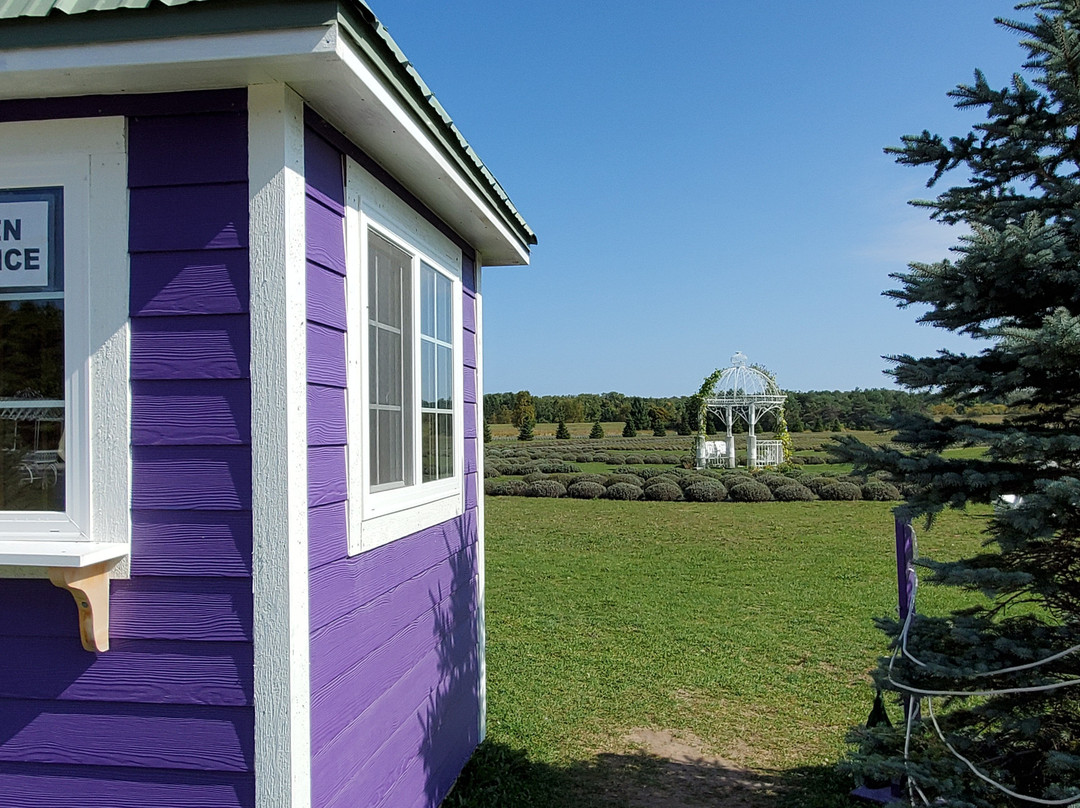 Fragrant Isle Lavender Farm & Shop-Washington Island必去景点