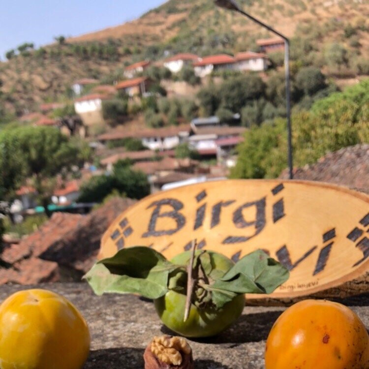 Birgi Koyevi-Birgi必去景点