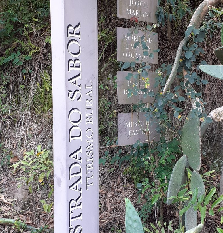 Estrada Do Sabor景点图片