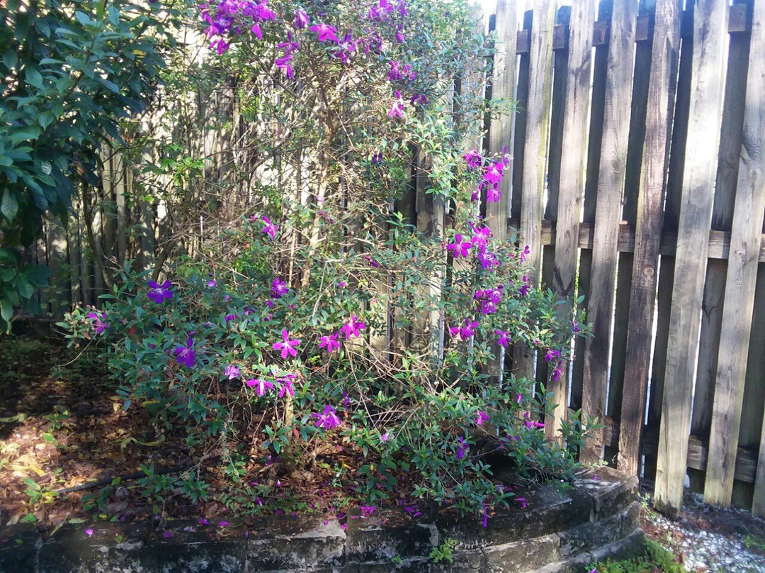 Eureka Springs Park-坦帕必去景点