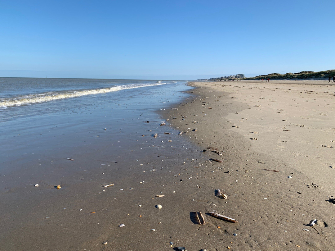 De Panne Beach景点图片