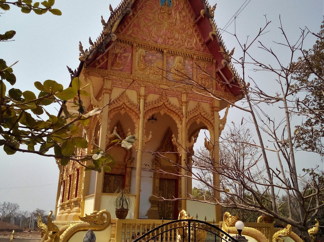 Chomphet Stone Sculpture Village and Temple Complex景点图片