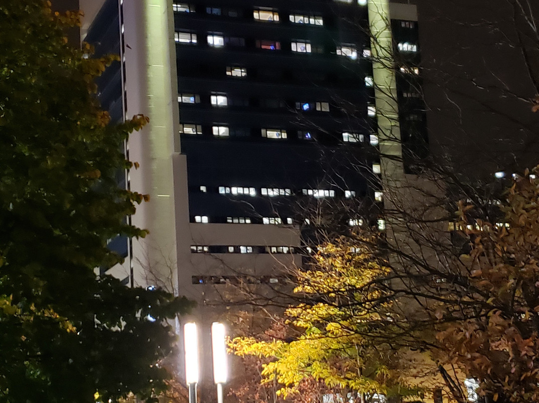 布法罗市中心希尔顿逸林俱乐部酒店主图