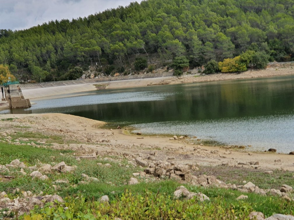 Lac de Carcès景点图片