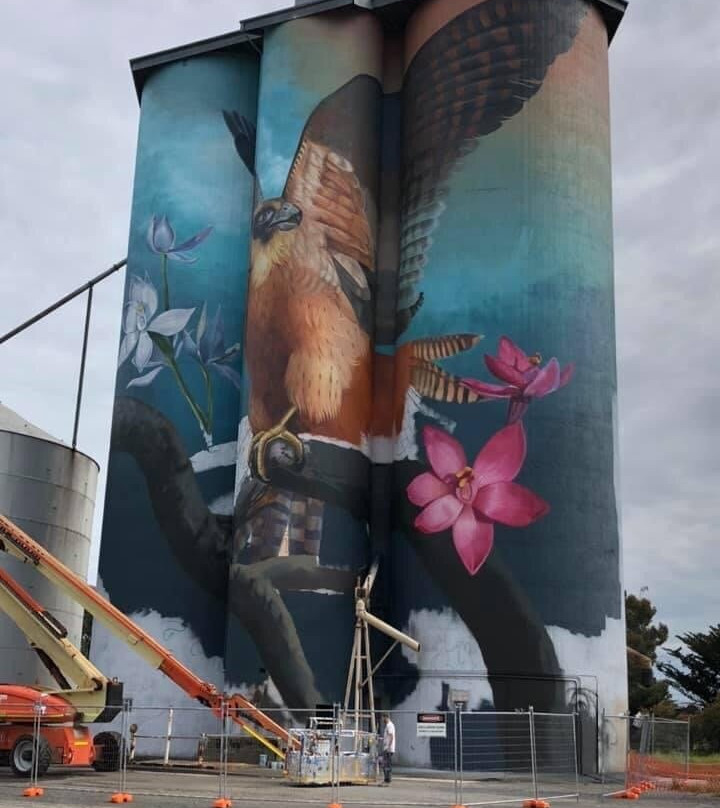 Kaniva Silo Art-Kaniva必去景点