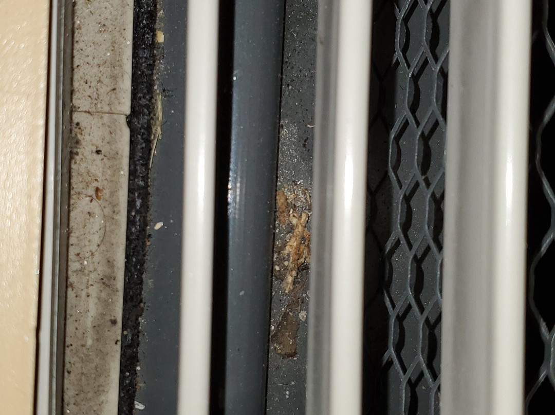 Best Western Plus Bradford Inn主图