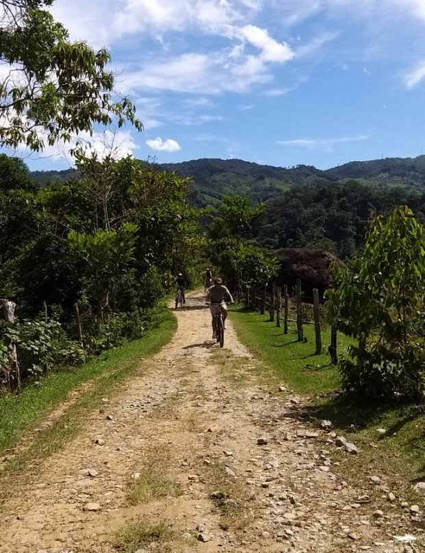 Bicycle Adventure San Rafael景点图片