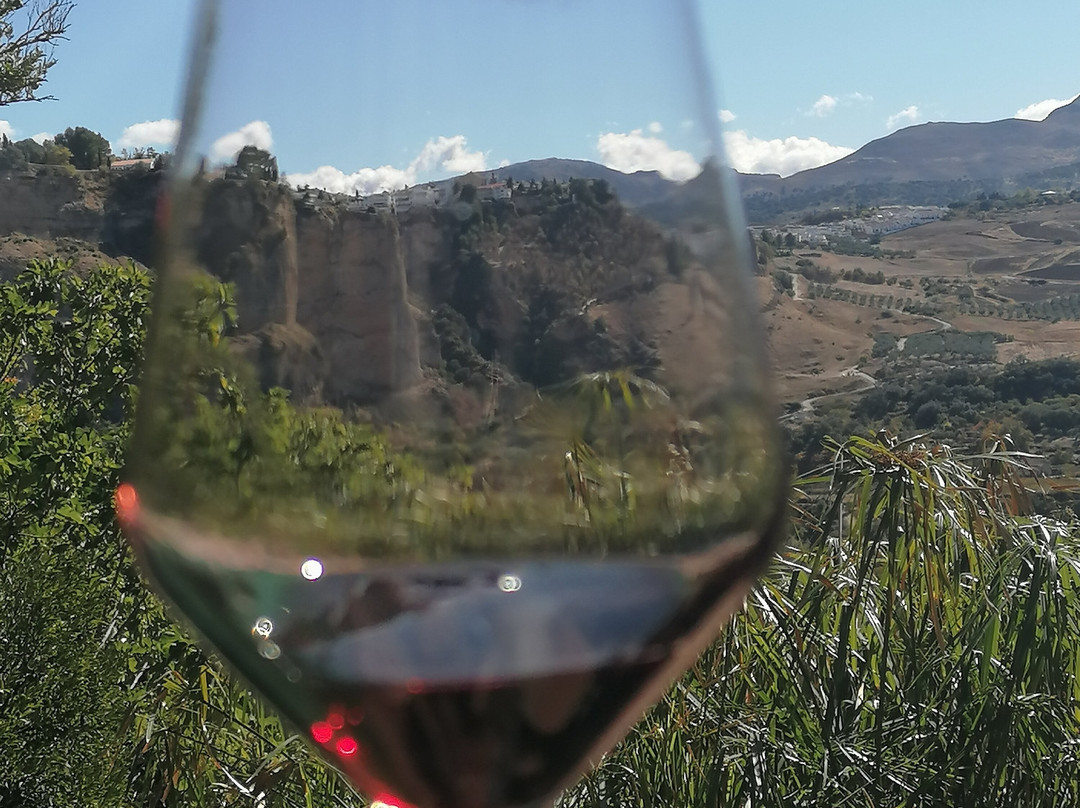 Bodega Descalzos Viejos景点图片
