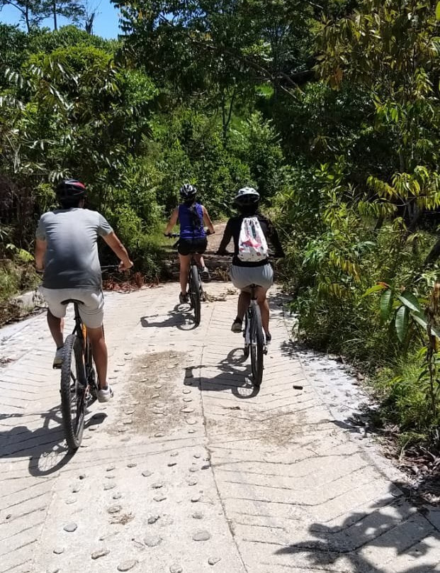 Bicycle Adventure San Rafael景点图片