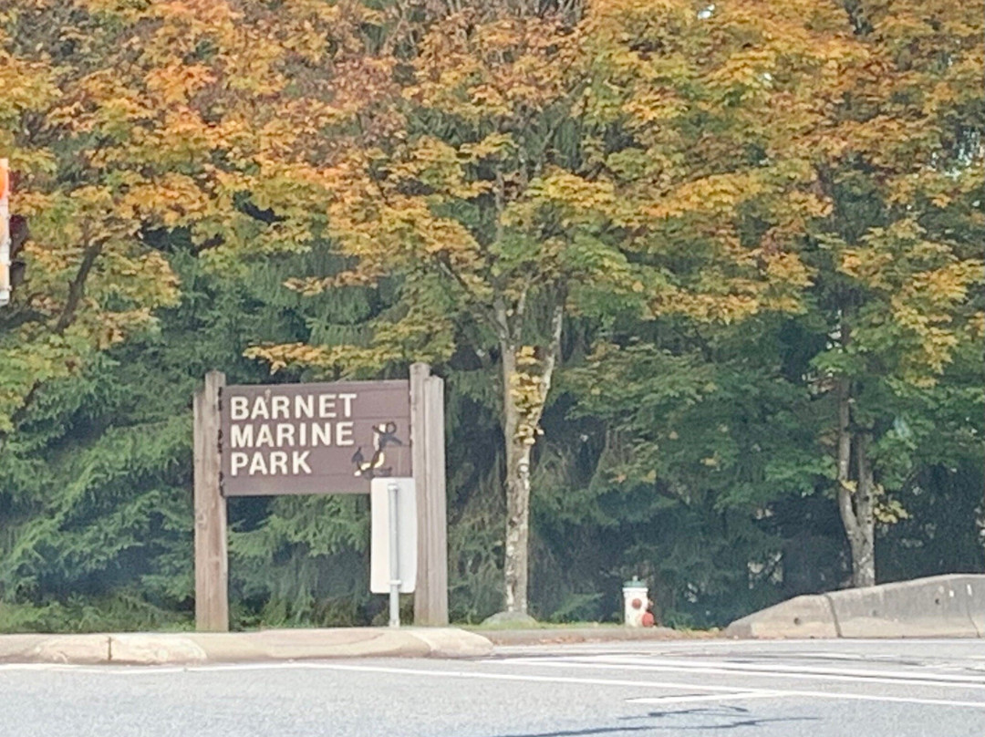 Barnet Marine Park景点图片