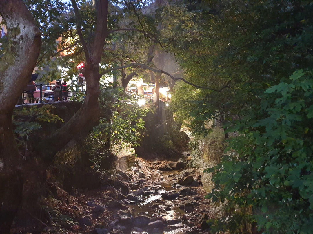 Forest Steni Evia-Steni Dirfyos必去景点