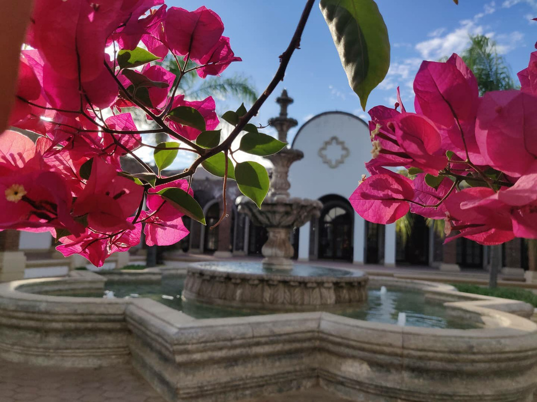 Adobe Guadalupe Vineyards & Inn主图