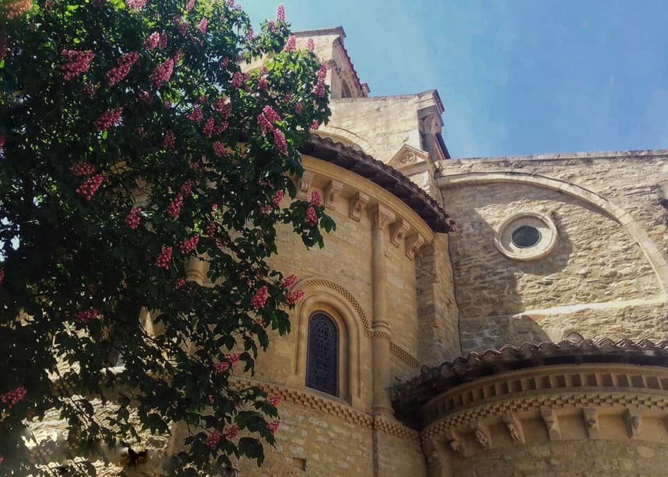 Office de Tourisme de la Destination Comminges Pyrénées景点图片