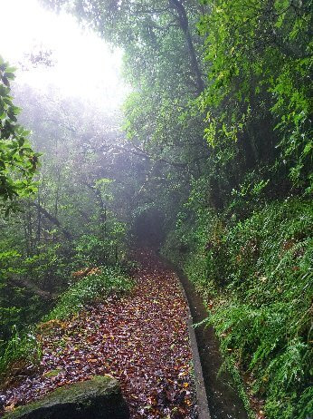Levada dos Cedros-莫尼什港必去景点
