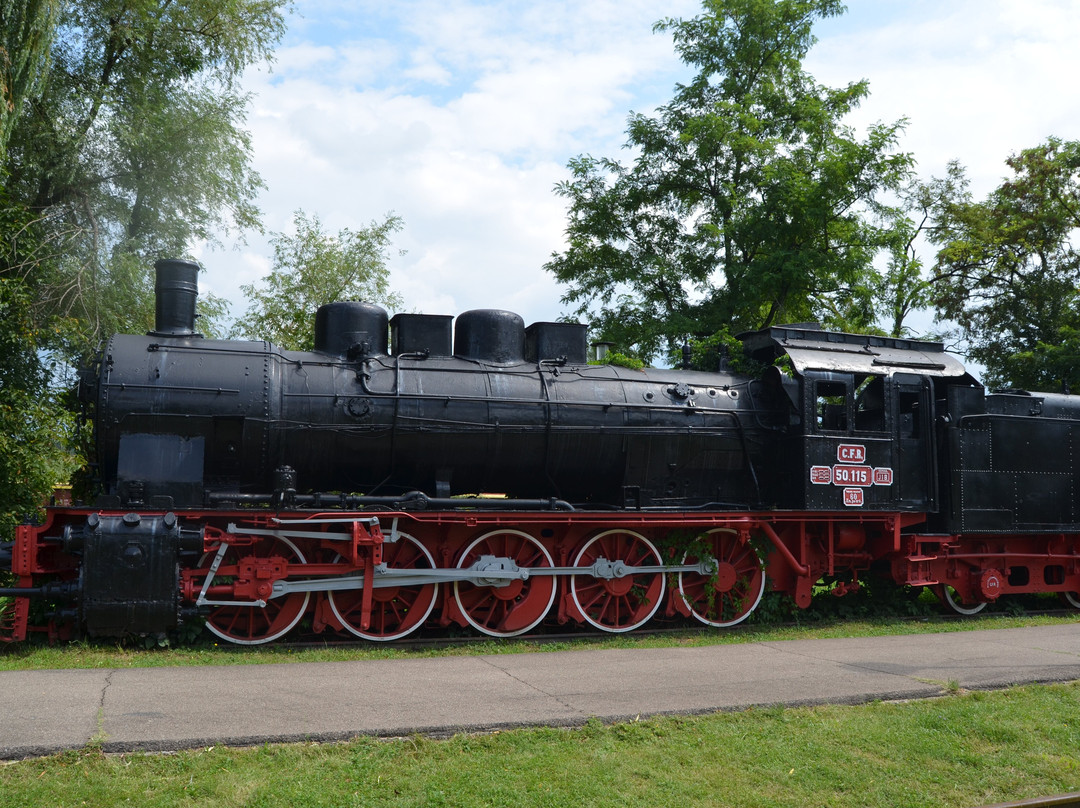 Muzeul de Locomotive (Steam Locomotive Museum)景点图片