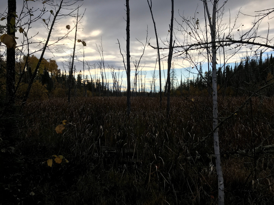 Kabetogama Lake Visitor Center景点图片