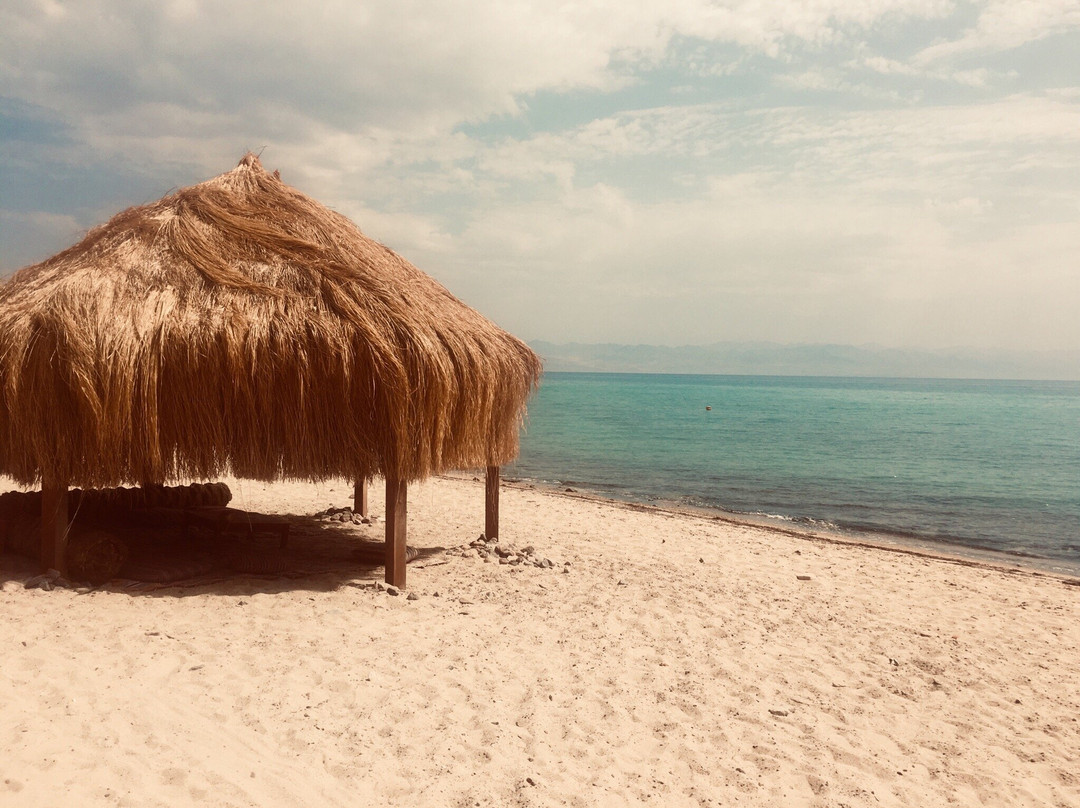 Safari Beach Resort主图