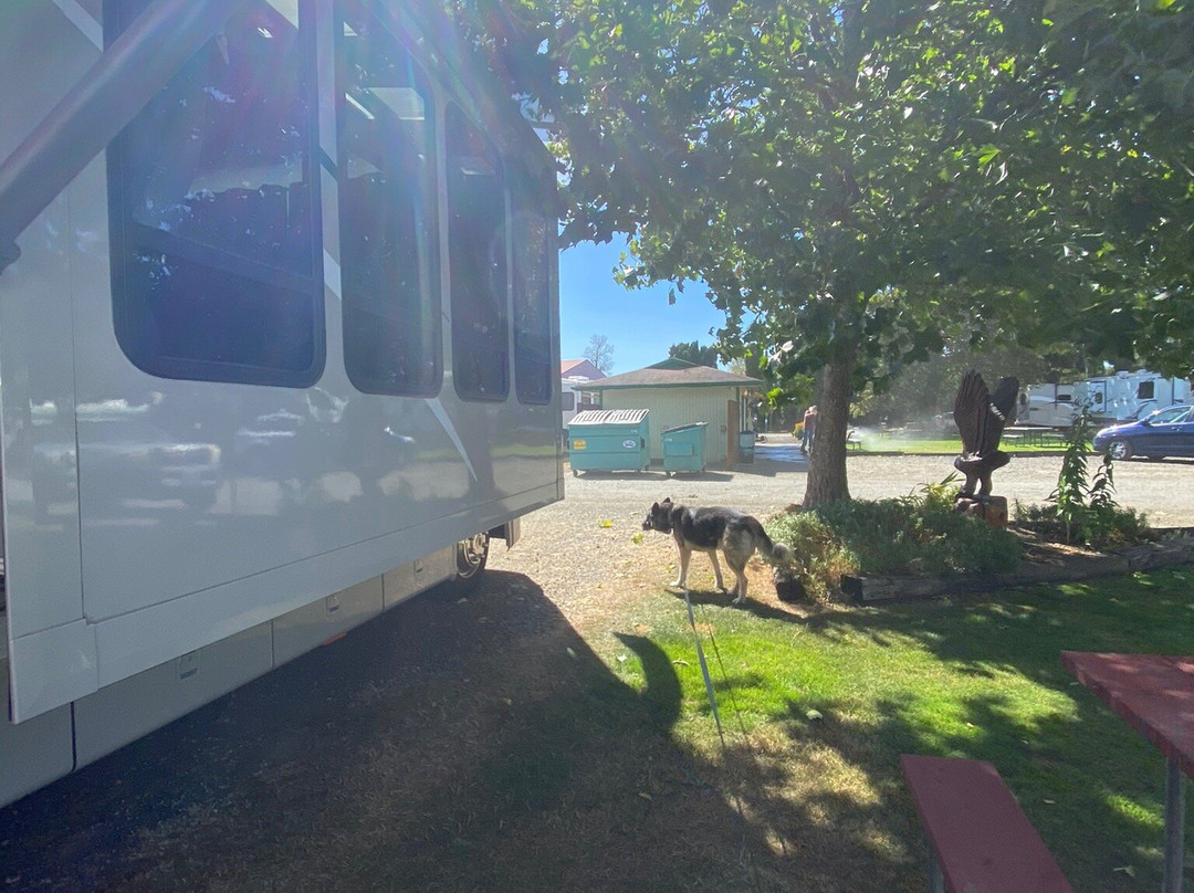 Elma旅游攻略图片