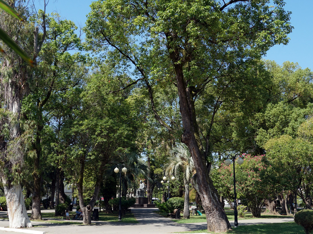 B. Shinkuba Park-Sukhumi必去景点