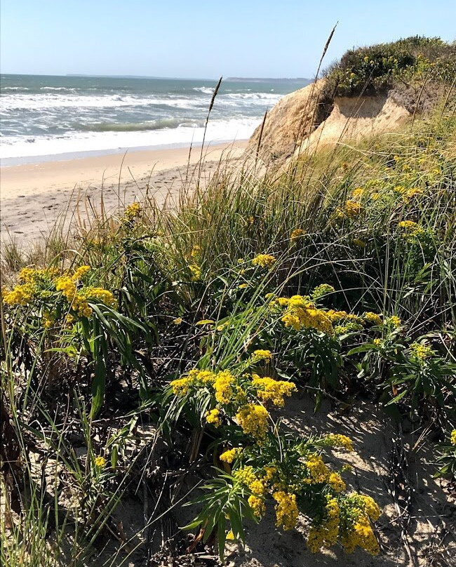 Inkwell Beach House主图