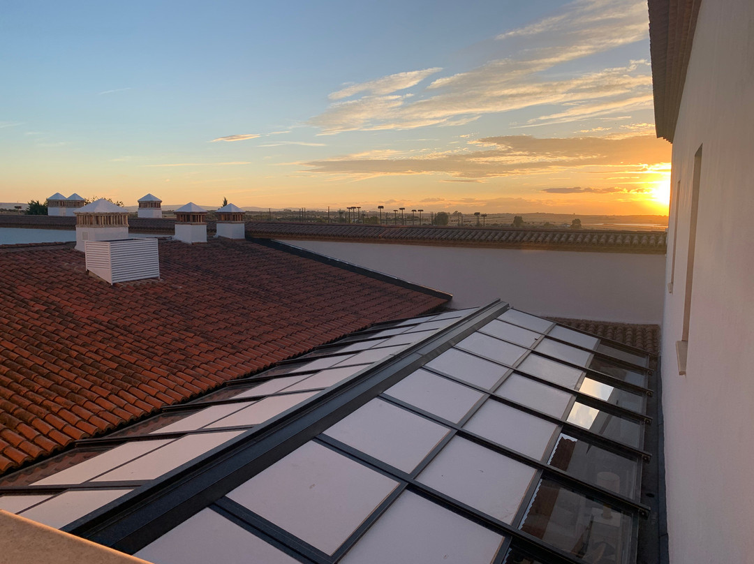 阿雷纳莱斯宫殿霍斯皮斯及spa酒店主图