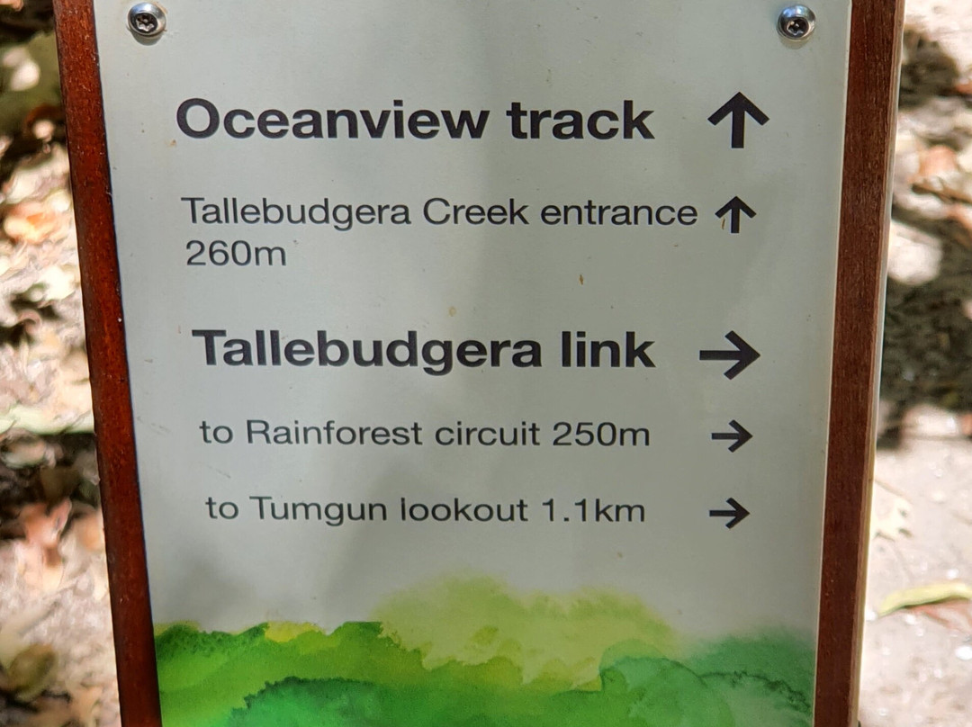 Burleigh Headland Ocean View Track-伯利角必去景点