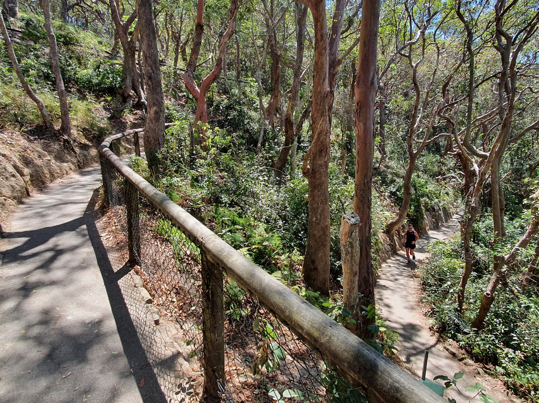 Ocean View Lookout Track-伯利角必去景点