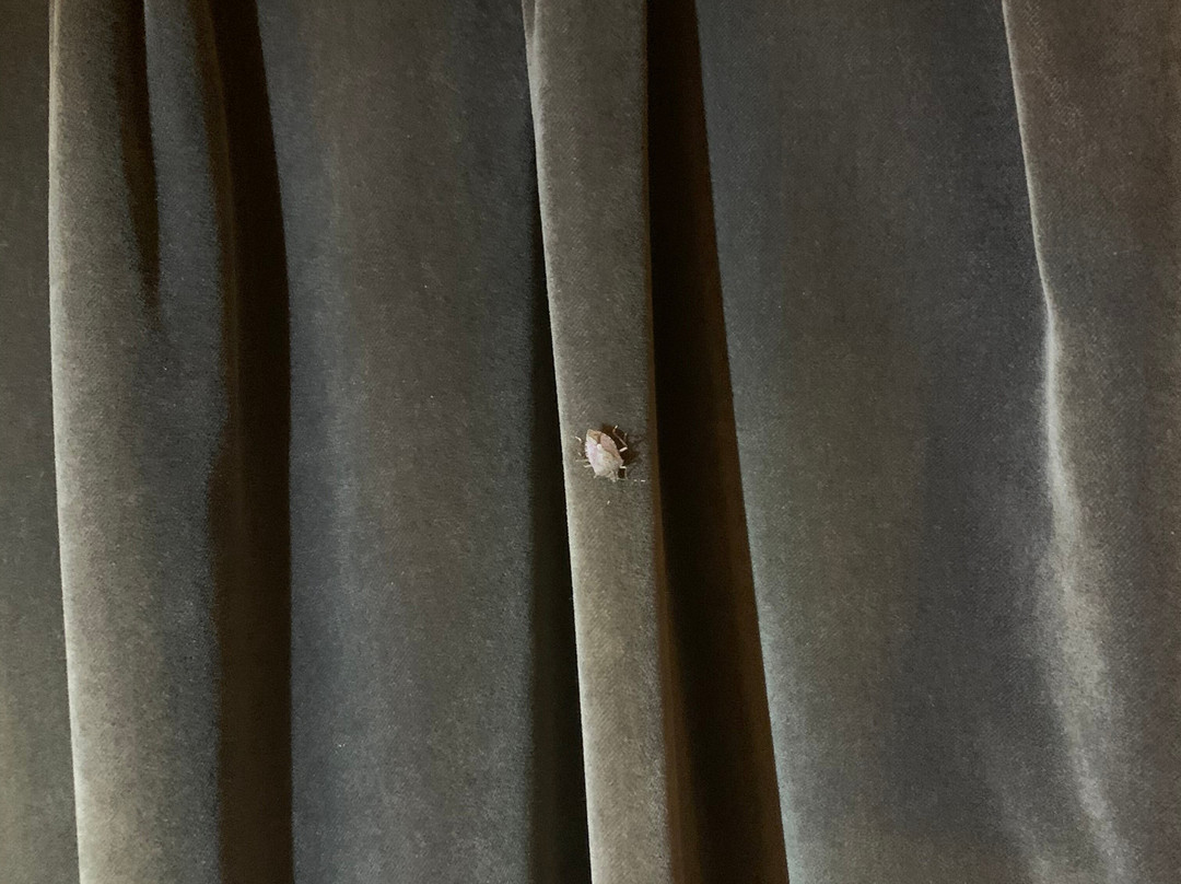 Travelodge by Wyndham Jackson主图