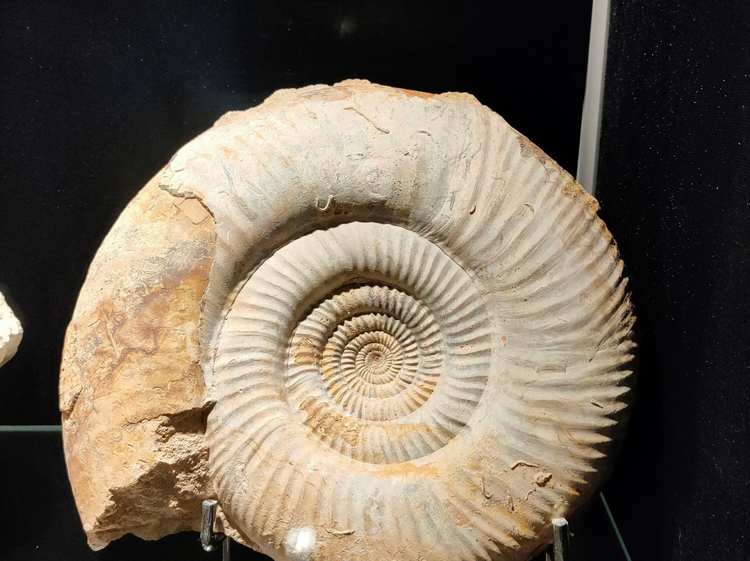 Kristalmuseum景点图片