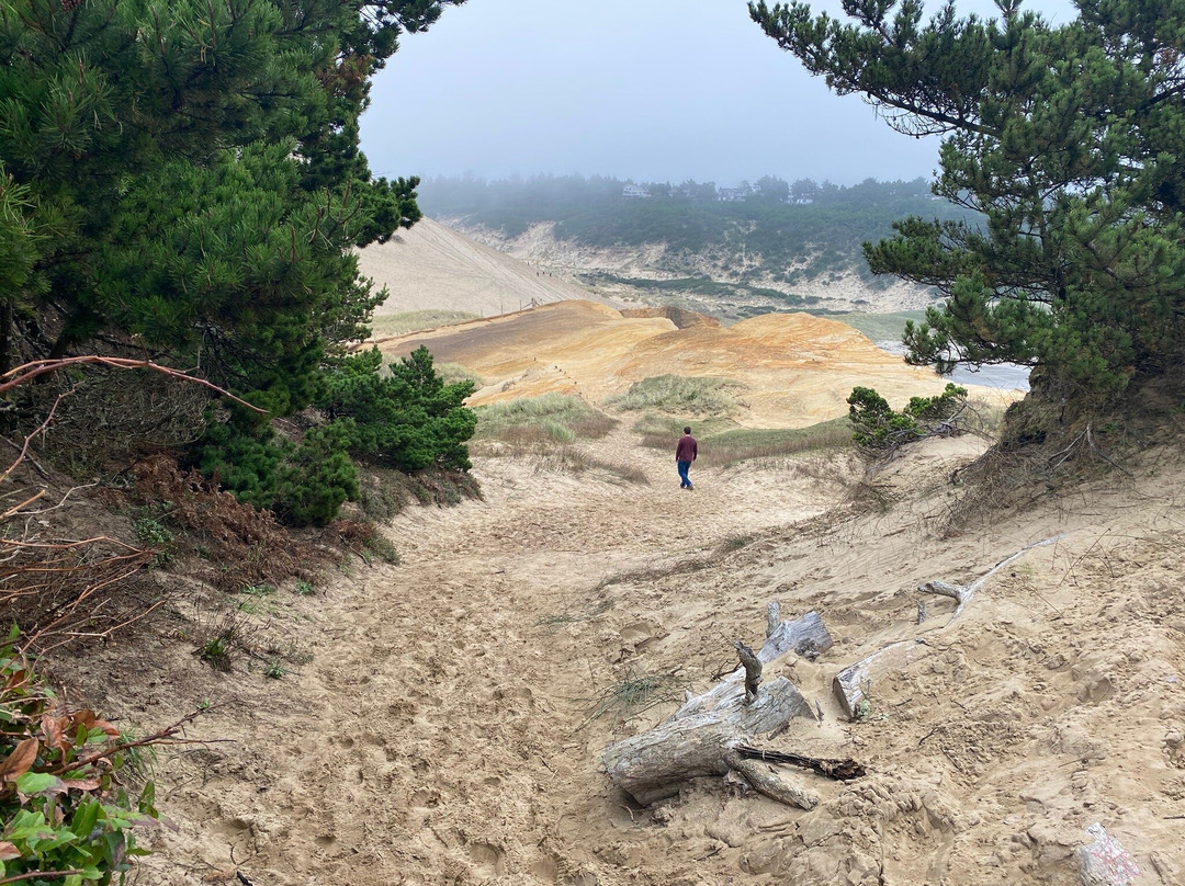 Oregon Coast Tours-太平洋城必去景点