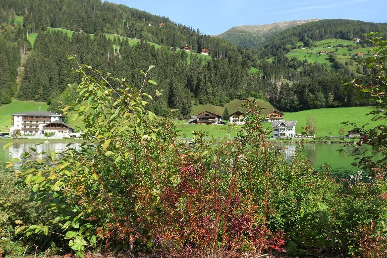 Sentiero circolare intorno al lago artificiale di Selva dei Molini-Selva dei Molini必去景点