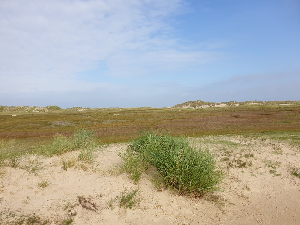 Das Wrack am Ostende-诺德奈必去景点