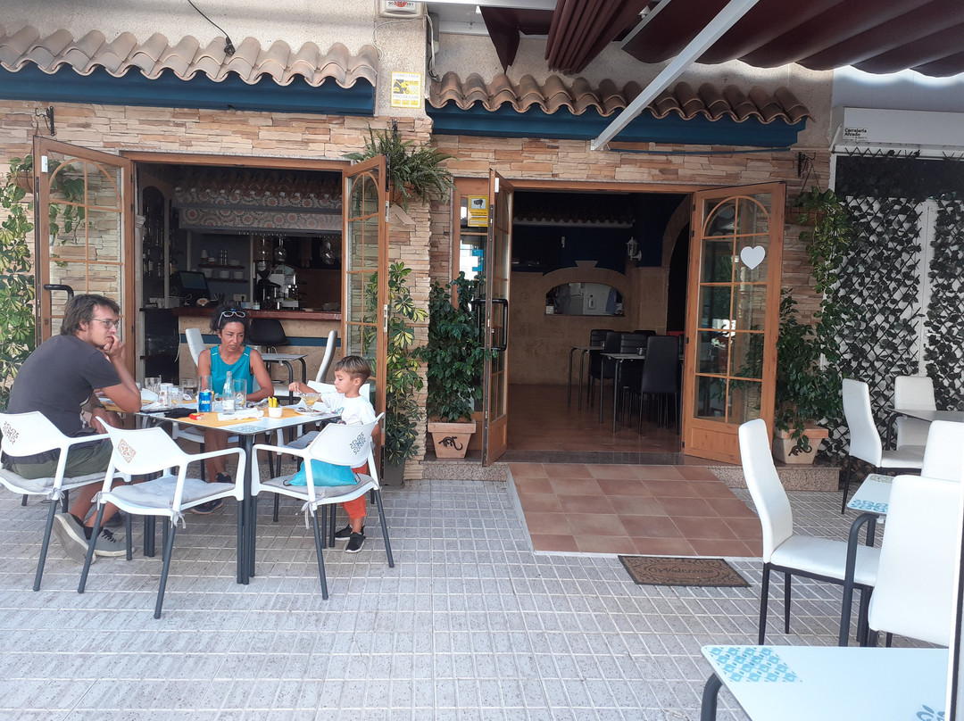 Gekko Albir