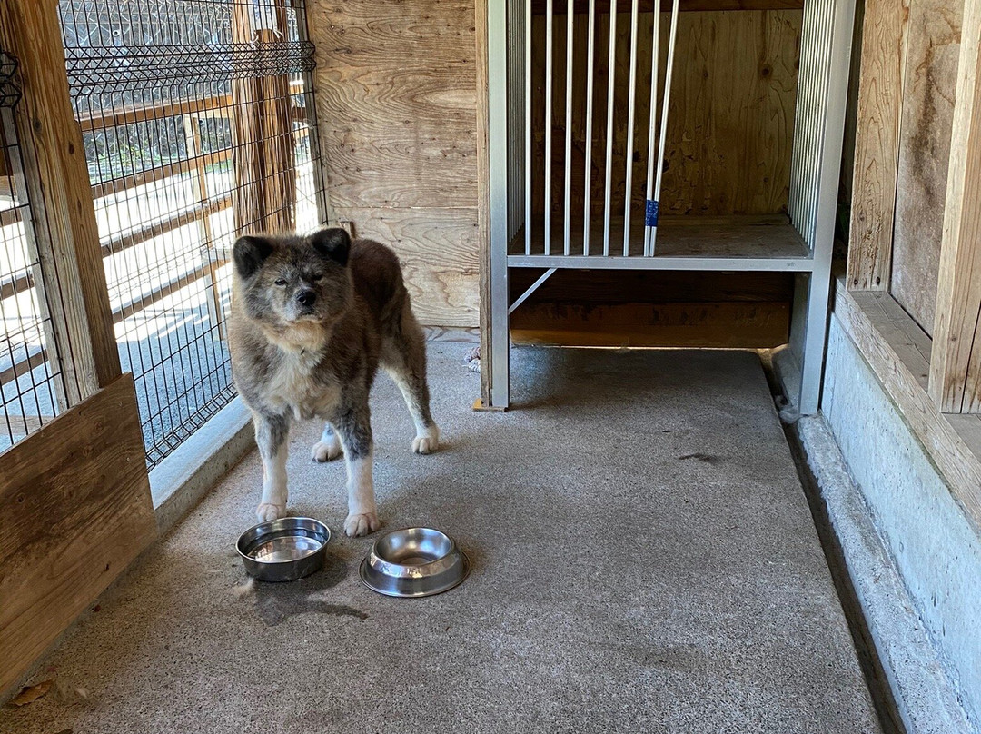Tazawako Kyoei Palace-仙北市必去景点