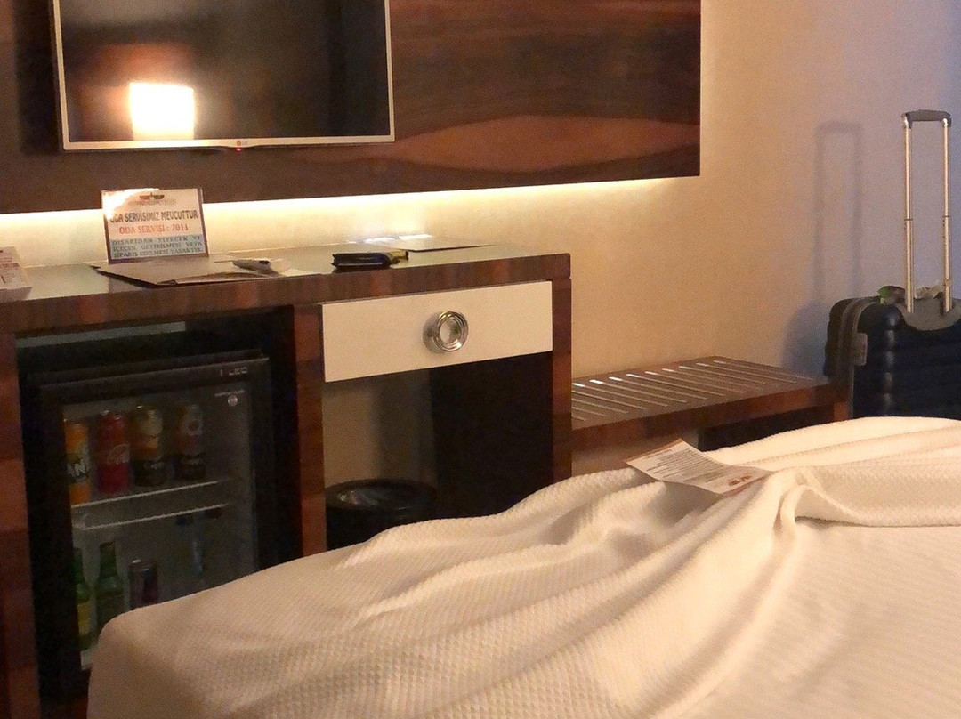 Mitannia Regency Hotel主图