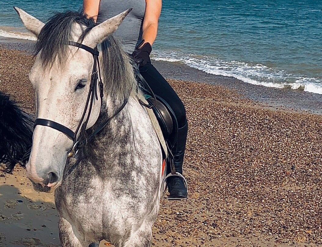 Pakefield Riding School景点图片