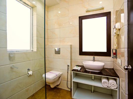 Mohan Palace Dalhousie主图