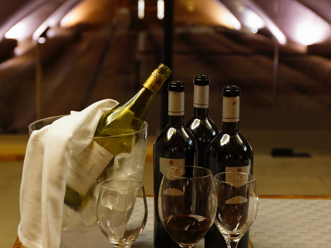 Bodega Otazu-Otazu必去景点