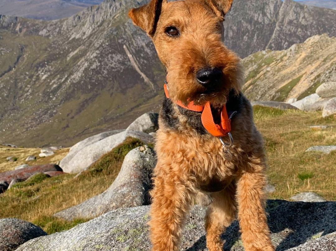 Goat Fell-Isle of Arran必去景点