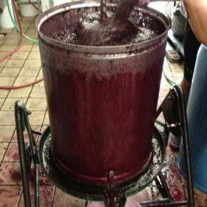 Laguna Canyon Winery-拉古纳海滩必去景点