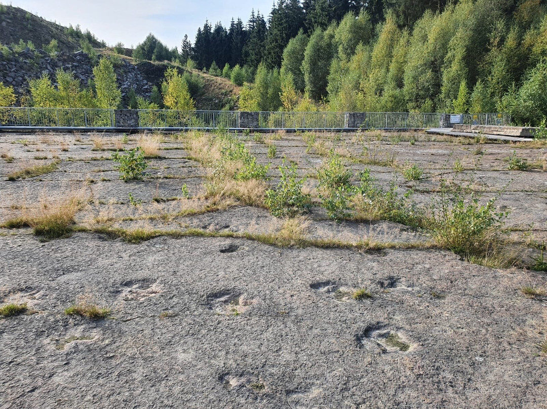 Dinosaur tracks-Obernkirchen必去景点