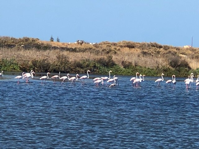 2Weels4Rent-法罗必去景点