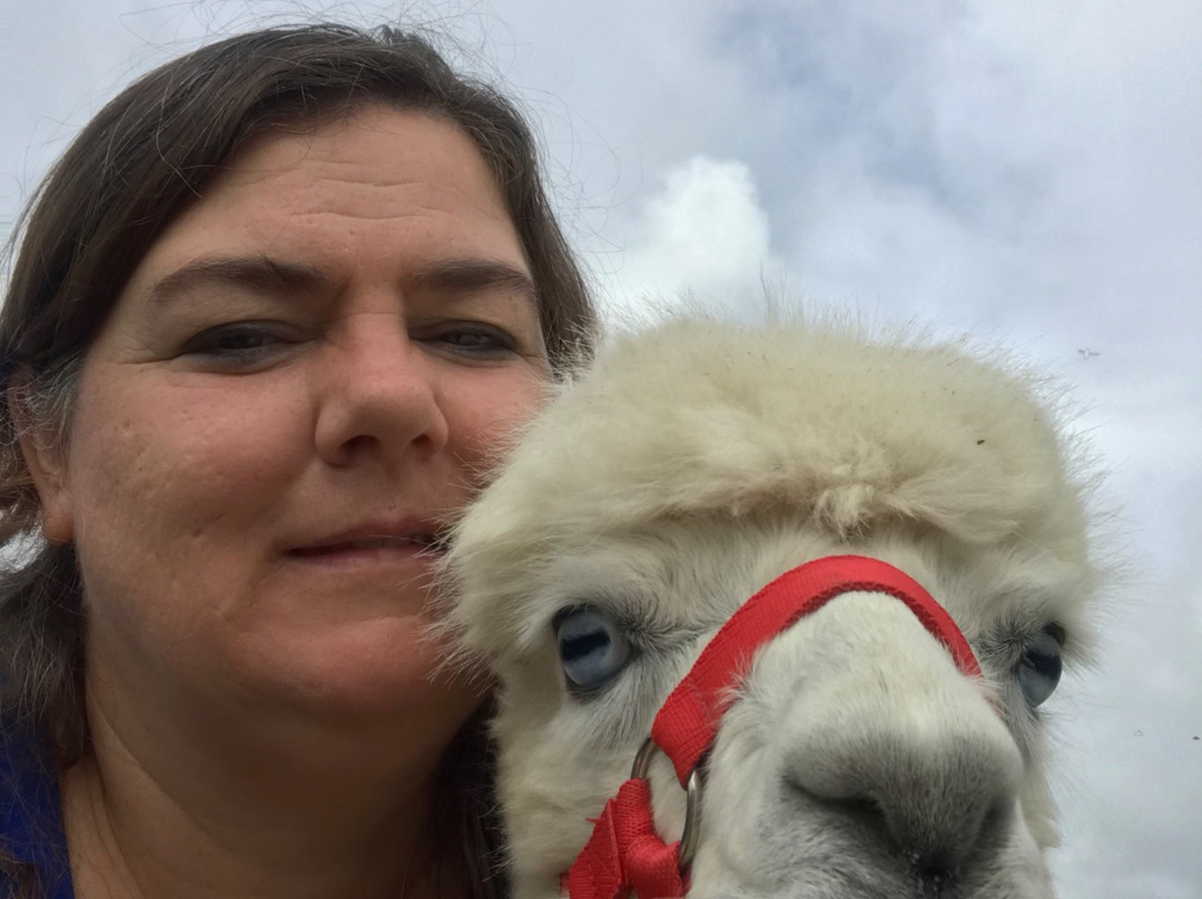 Sarah Tickle-Coedway必去景点