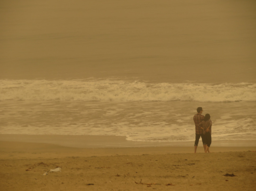 Venice Beach in Half Moon Bay-半月湾必去景点