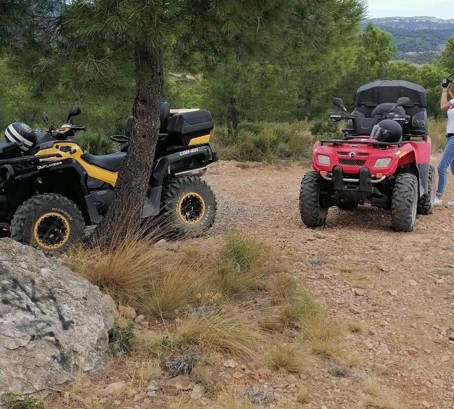 Miami-Aventura Quads-Miami Platja必去景点